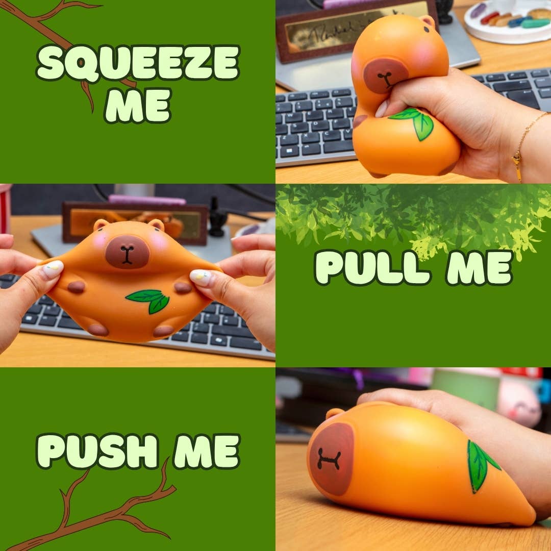 Boxer Gifts Squish Squad Squishy Capybara