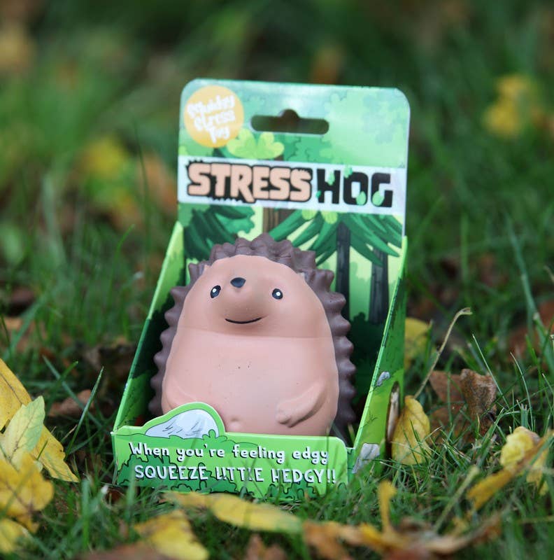 Kawaii hedgehog squishy stress toy in its green Stress Hog gift box resting on grass with autumn leaves