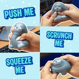 A 2x2 collage showing a small gray seal-shaped squishy toy being squeezed by hands, with text overlays reading 'PUSH ME', 'SCRUNCH ME', 'SQUEEZE ME' on a light blue background.