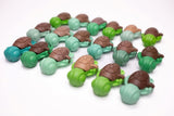 Calm Buddi Turtle sensory fidget toys, green and brown Nature colourway, bulk display