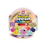 Crazy Fun Mystery Squishy Dumpling Treasure Edition toy in its original circular packaging, featuring a clear plastic top showing a red squishy dumpling and colorful cartoon dumpling illustrations on the label.