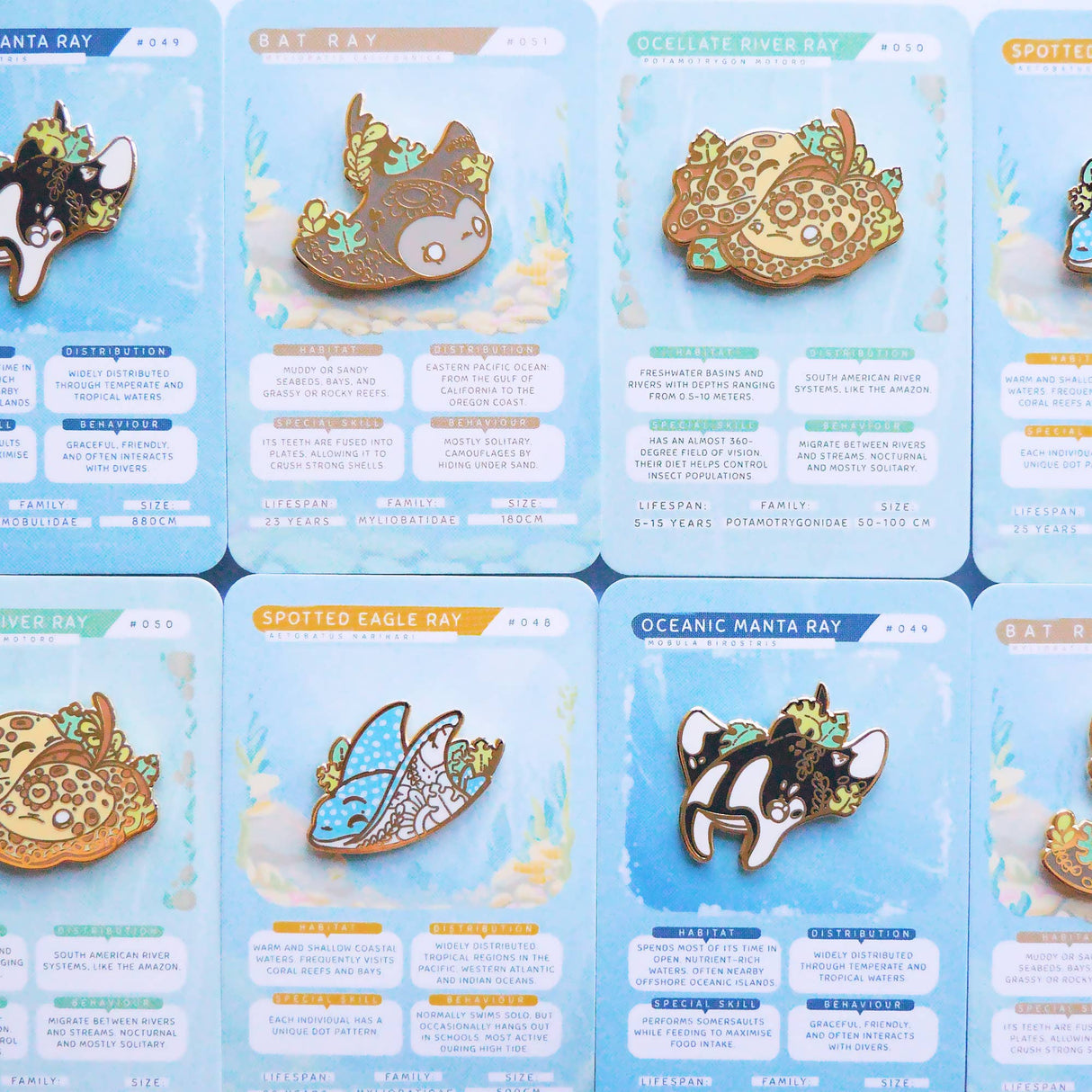 Evy Benita ray enamel pin range on backing cards including Oceanic Manta Ray