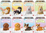 Eight Mocchiri Kororin Dogs blind box packaging designs by Bandai Shokugan