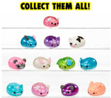 Full Series 1 Moj Moj Original Crunch collection showing all 12 kawaii characters on display shelves