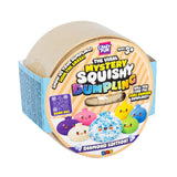 Mystery Squishy Dumpling Diamond Edition packaging, blind box sensory fidget toy