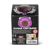 Back of Scrunchems Sugar Capybara box showing purple capybara illustration, warning text, safety symbols, and barcode
