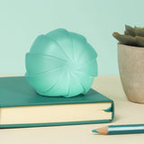 Teal Speks Gump Surface stress ball resting on a book on a desk beside a succulent plant