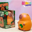An orange capybara-shaped squishy toy shown next to its branded retail box. The box is green with cartoon capybara graphics and text including 'DON'T WORRY BE CAPY!' and 'FEELING UNHAPPY? SQUEEZE THE CAPY!'.