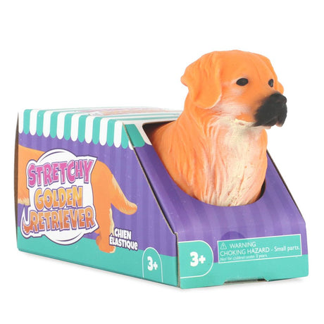 Stretchy golden retriever stress toy displayed in its teal and purple branded gift box