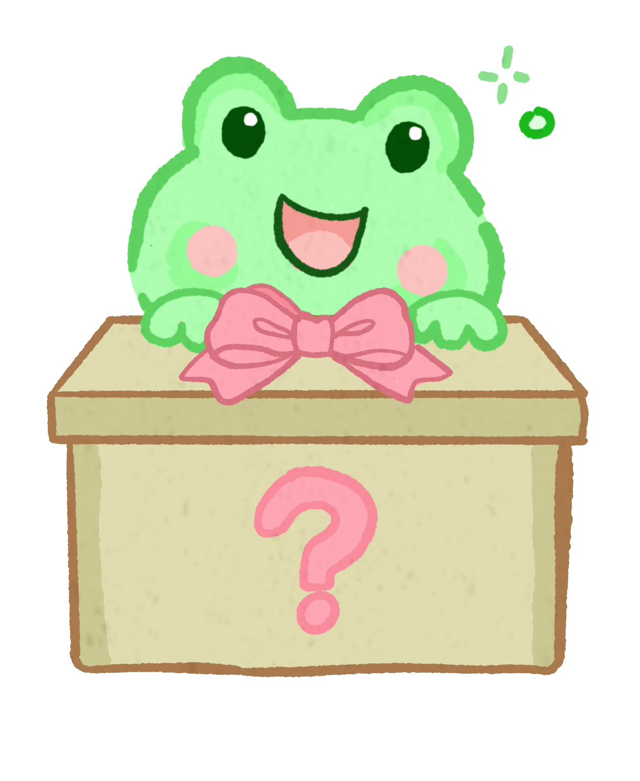 Mystery Fidget Box